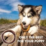 N-Bone Puppy Teething Rings 6 Count Bag Variety Pack, Chicken & Pumpkin & Blueberry BBQ Flavor, Total 3 Bags, 21.6-oz, 18 Rings - Image 5