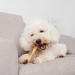 MON2SUN Dog Rawhide Rolls Twist Sticks 6.5 Inch Dog Chew Treats Chicken Flavor 18 Count for Puppy and Small Dogs - Image 5