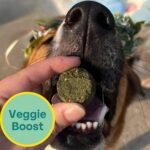 Chippin Plant-Based Spirulina Healthy Supplement & Dog Treat (5oz, 1-Pack) | Stop Grass Eating | Hypoallergenic, Chicken-Free Vegan Protein | 100% Made in USA - Image 3