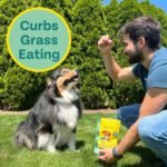 Chippin Plant-Based Spirulina Healthy Supplement & Dog Treat (5oz, 1-Pack) | Stop Grass Eating | Hypoallergenic, Chicken-Free Vegan Protein | 100% Made in USA - Image 5