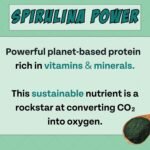 Chippin Plant-Based Spirulina Healthy Supplement & Dog Treat (5oz, 1-Pack) | Stop Grass Eating | Hypoallergenic, Chicken-Free Vegan Protein | 100% Made in USA - Image 9