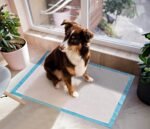 Pet Training and Puppy Pads Pee Pads for Dogs 22"x22" Super Absorbent & Leak-Proof - Image 4