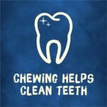 Purina Busy Made in USA Facilities Toy Breed Dog Bones, Tiny - (Pack of 4) 30 ct. Pouches - Image 8