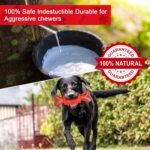 VIWIK Dog Chew Toy for Aggressive Chewers, Nylon Dog Bone Toy for Large Medium Small Dogs, Interactive Dog Toys for Puppies Teething, Outdoor Dog Toys with Beef Smell - Image 6