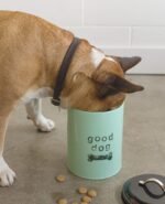 Now Designs Dog Biscuits Tin with Lid, Good Dog Design - Image 3