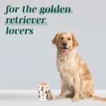 Greenline Goods Premium Dog Treat Ceramic Canister Set – Golden Retriever Airtight Canister for Fresh Treats, Ceramic Jar & Containers with Lids, Farmhouse Canisters, Ideal Kitchen Canisters - Image 5