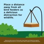 Kaytee Backyard Wildlife Food Blend For Wild Squirrels, Chipmunks, Rabbits and Other Backyard Wildlife, 5 Pound - Image 4