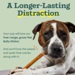 WOOF Bully Sticks Dog Treats - Chew Sticks for Dogs - Long-Lasting Dog Chew Treats - Dog Products Made with Free-Range, Grass-Fed Beef- 12" Sticks - 25pk - Image 4