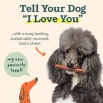 WOOF Bully Sticks Dog Treats - Chew Sticks for Dogs - Long-Lasting Dog Chew Treats - Dog Products Made with Free-Range, Grass-Fed Beef- 12" Sticks - 25pk - Image 7