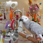 Durable Bird Parrots Pots and Bagel Toys, Pullable Stainless Steel Cup and Cardboard Ring Toys for Amazons Mini Macaws African Greys Cockatoos Eclectus - Image 7