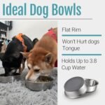 PEGGY11 Stainless Steel Metal Dog Bowls, Nonslip Rubber Bottom, Dishwasher Safe, Easy to Clean - 2 Pack, Each Holds 3.8 US Cup - Image 5