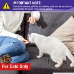 HavenJanny 20pcs Dried Silvervine Gall Fruit, Natural Silver Vine Cat Chew Toy, Matatabi Cat Toy for Dental Cleaning Hard chew Cheer up - Image 3