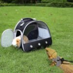 Guinea Pig Carrier,Guinea Pig Carrier for 2,Reptile Travel Carrier for Lizards Sugar Glider Hedgehog Rat Parrot Birds (Black, Carrier+Harness Leash) - Image 8