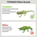 Toymany Reptile Animal Figurine Toys Set, 12 PCS Desert Amphibians Animal Figures with Komodo Dragon Lizard Snake Chameleon Rainforest Cold Blooded Animals Figures Party Favor for Kids - Image 9