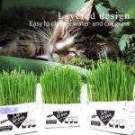 Cat Grass Magic Bag, 3 Bags, Indoor Cat Grass kit (Easy to Operate) Open The Bag and Add Water, Ready to Use in a Week Or So, Lazy Savior. - Image 3