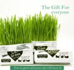 Cat Grass Magic Bag, 3 Bags, Indoor Cat Grass kit (Easy to Operate) Open The Bag and Add Water, Ready to Use in a Week Or So, Lazy Savior. - Image 5