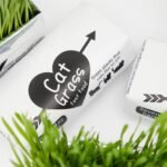 Cat Grass Magic Bag, 3 Bags, Indoor Cat Grass kit (Easy to Operate) Open The Bag and Add Water, Ready to Use in a Week Or So, Lazy Savior. - Image 6