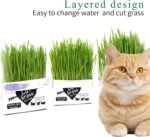 Cat Grass Magic Bag, 3 Bags, Indoor Cat Grass kit (Easy to Operate) Open The Bag and Add Water, Ready to Use in a Week Or So, Lazy Savior. - Image 7