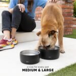 Simple Modern Stainless Steel Pet Water Bowl for Dogs & Cats | Insulated Stainless Steel Food Bowls for Dog Cat | No Tip No Slip BPA Free | Bentley Collection | Medium (4 Cups) | Midnight Black - Image 6