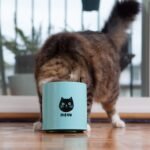 Now Designs 5088001aa Cat Treat Tin, Cats Meow - Image 7