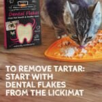 QCHEFS Dental Flakes for Cats – Two Month Supply* - Food Topper - After Meal Licking Treat, Oral Health Snack with Amino Acids. - Image 6