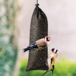 Weewooday 6 Pieces Finch Sock Feeder Thistle Socks Bird Feeder Instant Seed Sack Feeder 4.7 x 11 Inch (Black) - Image 6