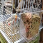 Hamiledyi No Mess Bird Cage Feeder Automatic Parrot Seed Feeders with Perch Acrylic Transparent Seed Food Container Cage Accessories for Small and Medium Parakeets Lovebirds - Image 6