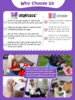 123 Pcs Homemade Dog Treat Molds Silicone,Dog Treat Cookie Cutters,Including 2 Doggy Treat Mold,5+12 Cookie Cutters and, 4 Dog Treat Recipes Card, 50 Dog Treat Bags & 50 Gold Twist Tie - Image 3