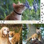 Cat Camera Collar, No WiFi Needed No APP,Cat Collar Camera with Video Record, Body Camera for Cat/Dog Recording,Camera for Cat Collar,Pet Collar Camera Outdoor, Dog/Cat Birthday Gift - Image 4