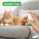 Catnip Spray, Catnip Spray for Indoor Cats, Cat Scratch Spray for Outdoor Training, Catnip for Cat Exercise, for Adult Cats and Kittens - Image 3