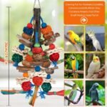 Bird Toys,Parrot Toys Exciting Chewing Fun for Parakeets,Cockatiels,Conures,Lovebirds,African Gray Cockatoos Amazon And Other Small Medium-Sized Parrot Natural Corn Cob Sturdy Nut (old bark) - Image 7