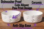 Ceramic Dog Bowl Set with Anti-Slip Rings - 5" Round x 2" Tall Set of 2 Ceramic Dog Bowls for Small Dogs - Small Dog Bowls - Dog Food and Water Bowl - White Dog Food Bowls - Dog Bowls Small Size Dog - Image 3