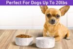 Ceramic Dog Bowl Set with Anti-Slip Rings - 5" Round x 2" Tall Set of 2 Ceramic Dog Bowls for Small Dogs - Small Dog Bowls - Dog Food and Water Bowl - White Dog Food Bowls - Dog Bowls Small Size Dog - Image 5