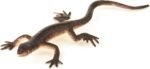 Terra by Battat – 60 Pcs Lizards Animal Tube – Realistic Plastic Animal Toys – Reptile & Amphibian Figurines – Frog, Alligator, Snake & More for Kids and Toddlers 3+ - Image 11
