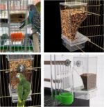 Automatic Bird Feeder, No Mess Acrylic Parrot Foraging Feeder, Transparent Bird Feeder Container Cage Accessories for Most Birds Parrot Canary Cockatoo (2 Pack) - Image 6