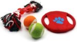 Deluxe Dog Gift Box Set with Pet Chew Toys Treats Snacks - Image 3