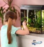 Luigi's Fish Tank Cleaner - Gravel Pump Vacuum for Aquarium - Hand Siphon Hose to Remove and Change Water or Sand in Minutes - Fish Aquarium Accessories, Supplies & Cleaning Tools - Image 8