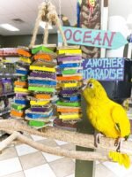 Birds LOVE Chew-Tastic Triple Tower of Shredded Fun Medium Bird Toy for African Grey Conures Sun Conures Caiques Senegals Small Cockatoos Quakers and Similar Small to Medium Sized Birds - Image 7