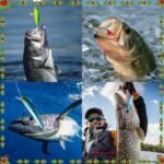 Fishing Lure Advent Calendar 2024 24 Days of Fishing Bait Christmas Advent Calendar 2024 Fishing Gift for Fishermen Adult Teen Boys Mystery Tackle Box Surprise Countdown - Image 4