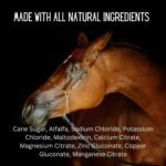 GALLAGHER'S WATER All-Natural Equine Hydration Treat - Enhancement Powder Mix Horse Drink Treat to Help Encourage to Drink Water - Made with All Natural Ingredients, FEI Compliant, 2 Pack - Image 8