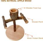 Bird Perch Stand Parrot Wooden Perch Conure Stand Bird Training Perch with Wood Food Cup for Parakeet Lovebird Conure Canary Budgie Smll Birds - Image 3