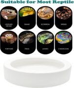 2 Pcs Reptile Food Bowl Ceramic Water Feeder Bowls Anti- Escape Mini Reptile Feeder for Lizard, Gecko etc, Round - Image 5