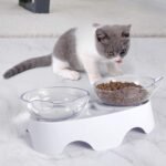 MILIFUN Cat Food Bowls Elevated Tilted, Anti Vomiting Orthopedic Kitty Bowls for Puppy and Bunny, Indoor Cats. - Image 6