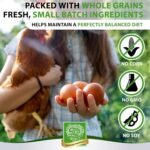 Small Pet Select Sustainable Chicken Scratch, 20lb - Image 4