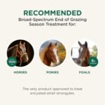 Quest Plus Gel Moxidectin/ Praziquantel Horse Dewormer, Late Grazing Season recommended for Horses and Ponies 6 months and older, 0.5oz Sure-Dial Syringe - Image 8