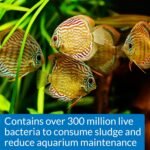 API STRESS ZYME Freshwater and Saltwater Aquarium Cleaning Solution 16-Ounce Bottle - Image 4