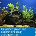 API STRESS ZYME Freshwater and Saltwater Aquarium Cleaning Solution 16-Ounce Bottle - Image 5