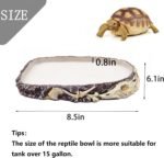 Tfwadmx Reptile Water Bowl Reptile Feeding Dish Reptile Feeder Food and Water Bearded Dragon Food Dish for Turtles, Tortoises, Snakes, Lizards, Geckos, Chameleons - Image 4