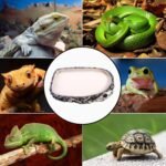 Tfwadmx Reptile Water Bowl Reptile Feeding Dish Reptile Feeder Food and Water Bearded Dragon Food Dish for Turtles, Tortoises, Snakes, Lizards, Geckos, Chameleons - Image 8