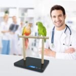 Digital Pet Bird Scale, Parrot Training Weight Scale with Perch, 0.05 Ounce Accuracy,70 Ounce Capacity, Easy Clean Black Glass Platform Suitable for Parrot and Macaws - Image 5
